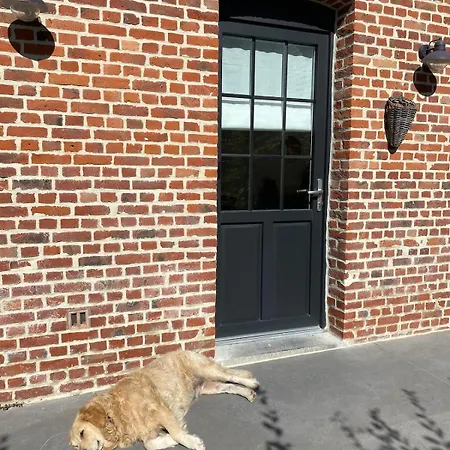 Chez Aurel Et Nico Apartment