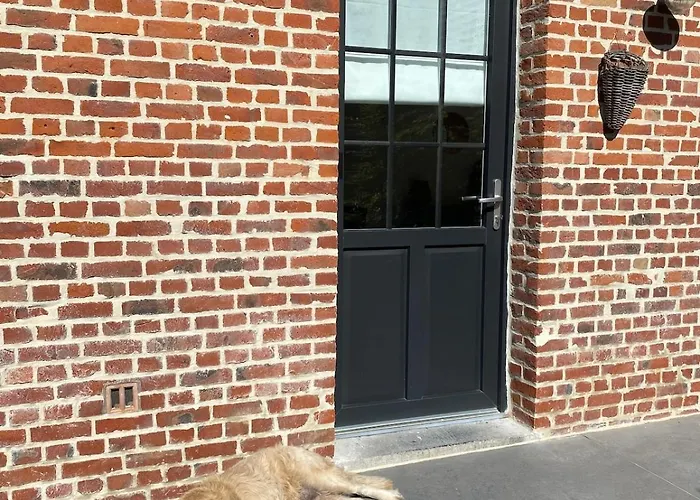 Chez Aurel Et Nico Apartment